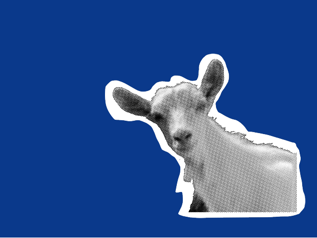 Teaser - Faktenchecks